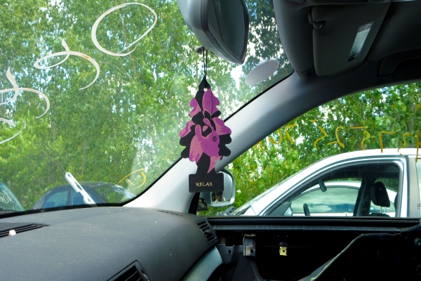 Best Car Air Freshener in the Philippines: Recommended Products To