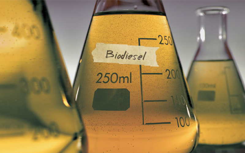 Biodiesel for cars