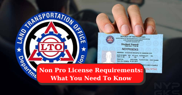 non-pro-license-requirements-what-you-need-to-know